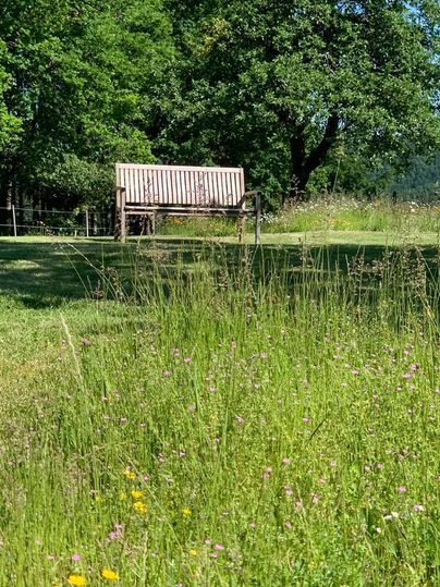 Een comfortabele bank staat op een groene weide met kleurrijke wilde bloemen. Op de achtergrond zijn bomen en een blauwe lucht zichtbaar.
