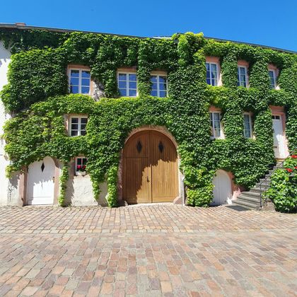Ein charmantes Haus mit einer begrünten Fassade. Umgeben von einem gepflasterten Hof und klarem blauen Himmel.
