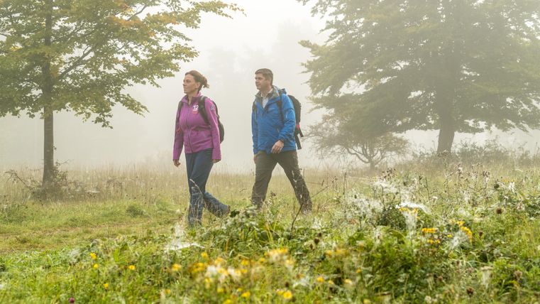 Wanderer gehen durch eine neblige, grüne Landschaft. Bunte Blumen und Bäume umgeben sie.