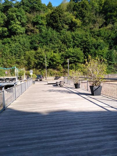 Un large chemin en bois entouré d'arbres verts. Plusieurs plantes en pots se trouvent le long du chemin.