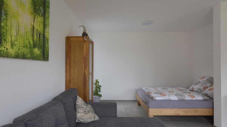 Een gezellige ruimte met een grijze bank en een bed. Aan de muur hangt een schilderij van een bos.