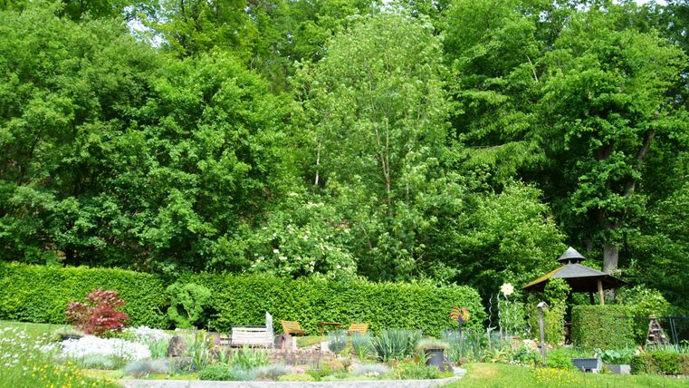 A quiet garden with lush greenery and a gravel path. In the background, there are trees and a small garden gazebo.