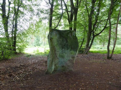 Ein großer, aufrechter Stein steht im Wald zwischen Bäumen. Der Boden ist mit braunen Blättern und Erde bedeckt.