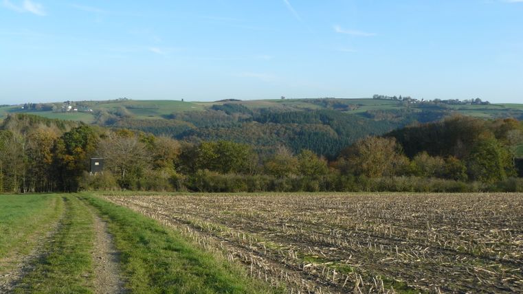 Paysage avec chemin de terre, forêts et collines sous un ciel bleu.
