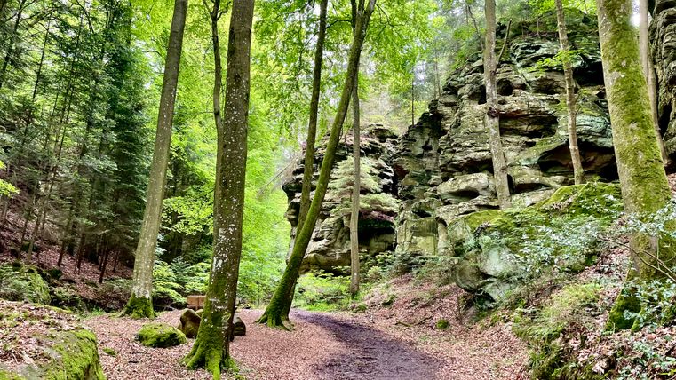 Premiumweg Felsenweg 6