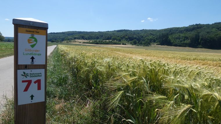 Wegweiser für Bitburger Landgänge in einem Feld mit Wald im Hintergrund.