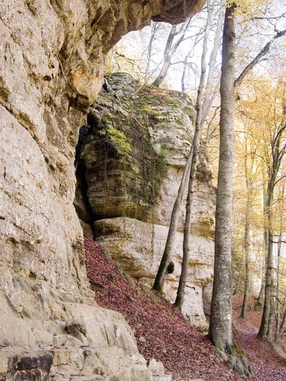 Une formation rocheuse dans les bois avec des feuilles d'automne et de grands arbres. Le sol est recouvert de feuilles colorées.