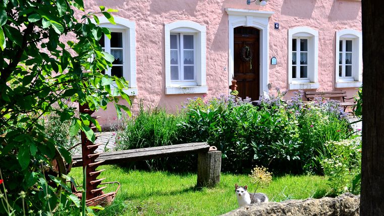 Ein rosa Bauernhaus mit Garten und einer Katze im Vordergrund.