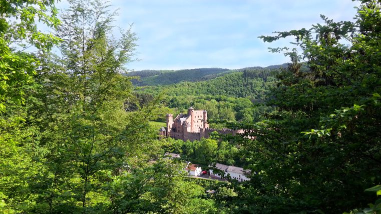 Panoramablick auf Schloss Hamm umgeben von grünen Bäumen und Hügeln.