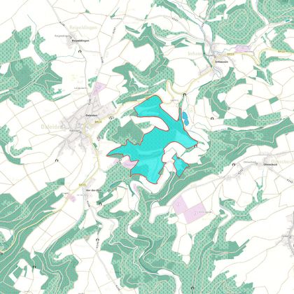 NSG Ginsterheiden im Irsental bei Daleiden
