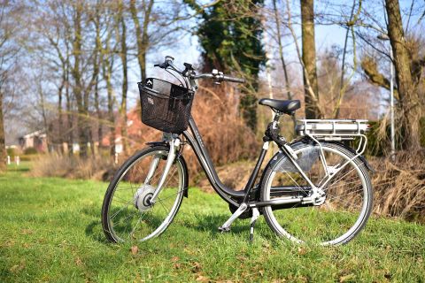 A black bicycle with a basket stands on a green meadow. In the background, trees and a clear sky are visible.