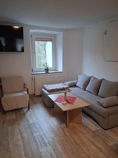 Un salon confortable avec un canapé gris, une table en bois et une télévision au mur. Une fenêtre laisse entrer la lumière du jour et il y a un petit pot de plantes sur le rebord de la fenêtre.