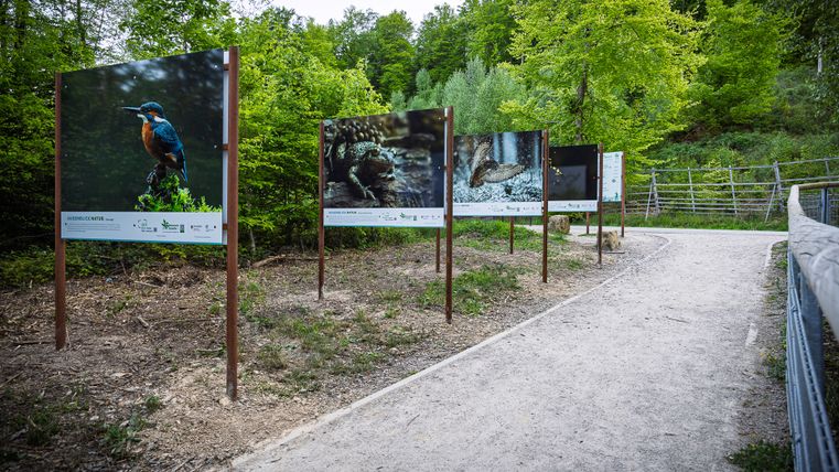 Ausstellung von Tierfotos bei den Irreler Wasserfällen