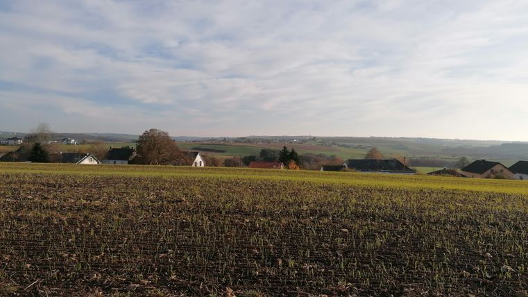 Eine weite Landschaft mit einem Feld im Vordergrund und Hügeln im Hintergrund. Einige Häuser sind in der Ferne sichtbar unter einem bewölkten Himmel.