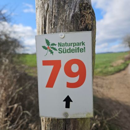 Een wegwijzer in het natuurpark Südeifel toont het nummer 79. De pijl wijst op het verdere verloop van het pad.