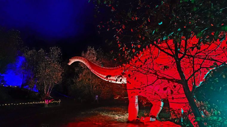 Ein beleuchteter Dinosaurier steht zwischen Bäumen in einer dunklen Umgebung. Die Szene hat eine mystische Atmosphäre durch die bunten Lichter.