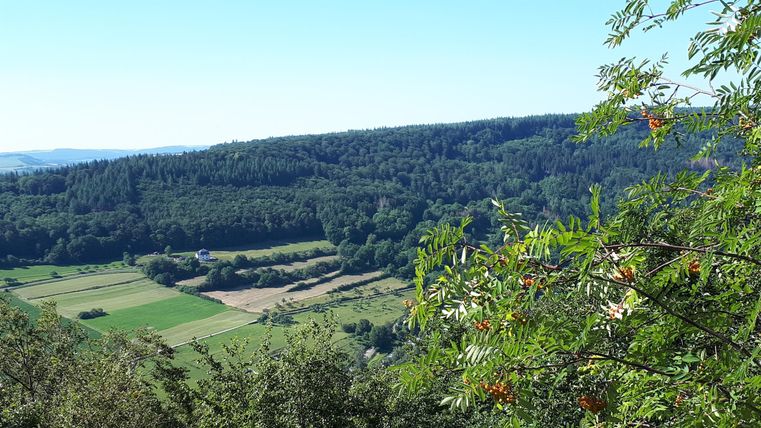 Un vaste paysage vert avec des forêts et des champs. Le ciel est clair et le soleil brille.