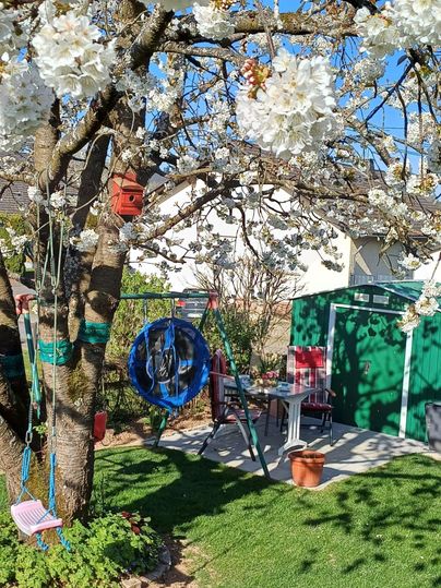 Ein blühender Baum mit weißen Blumen steht in einem Garten. Darunter befinden sich eine Schaukel und ein Tisch mit Stühlen.