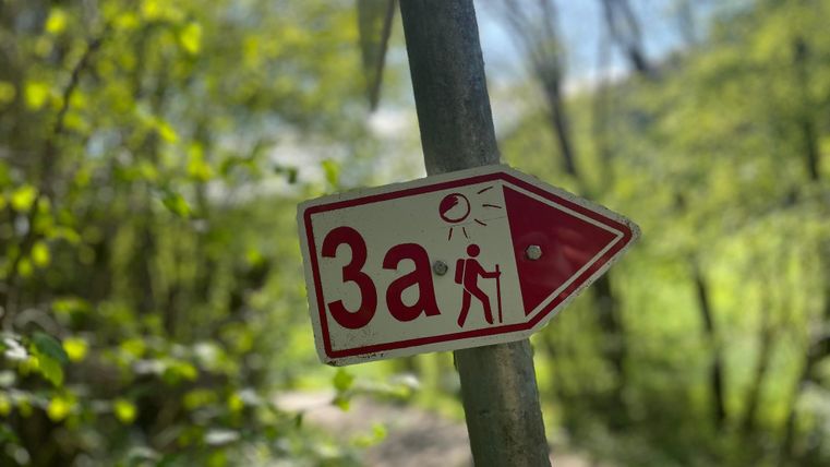 Ein Wegweiser mit der Aufschrift "3a" zeigt in Richtung eines Wanderweges. Im Hintergrund sind grüne Bäume und ein hellblauer Himmel zu sehen.