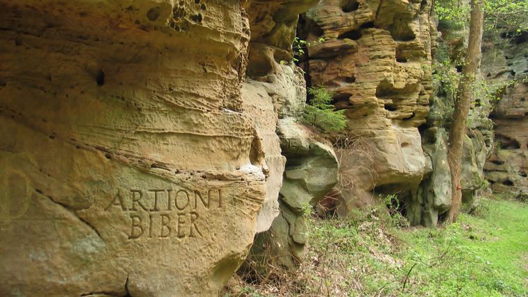 Eine felsige Landschaft mit großen, unregelmäßigen Gesteinsformationen. Grüne Pflanzen wachsen im Vordergrund und umgeben die Felsen.