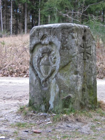 Ein historischer Stein mit einer eingravierten Figur und einem Symbol. Er steht in einer natürlichen Waldumgebung.