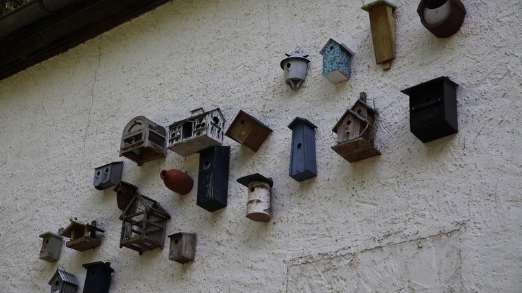 Un mur avec différentes maisons pour oiseaux de couleurs et de formes variées. Les maisons sont disposées de manière créative et donnent à la pièce un charme rustique.