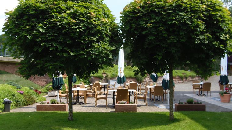Une terrasse pittoresque avec des tables et des chaises, entourée d'un verdure luxuriante. Deux grands arbres offrent de l'ombre aux invités.