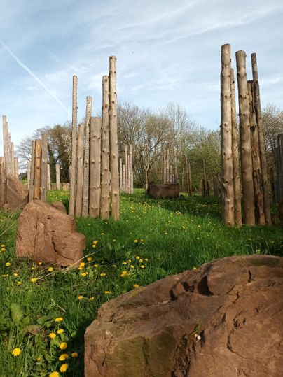 Eine Wiese mit mehreren senkrechten Holzstämmen und großen Steinen. Es blühen Löwenzahnblüten im Gras.
