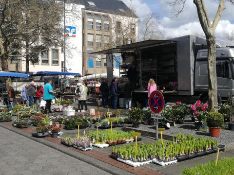Ein farbenfroher Blumenmarkt mit vielen Pflanzen und Menschen, die einkaufen. Im Hintergrund steht ein Verkaufswagen und die Sonne scheint.