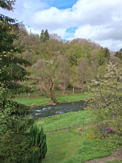 Un paysage fluvial paisible avec des prairies et des arbres verts. Le ciel est partiellement nuageux et montre quelques taches bleues.