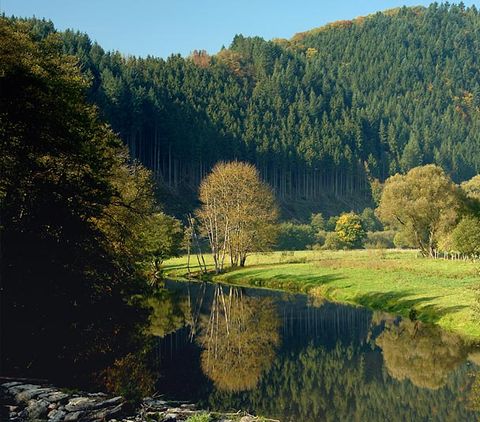 Fluss Our bei Obereisenbach, umgeben von Wald und Wiesen.