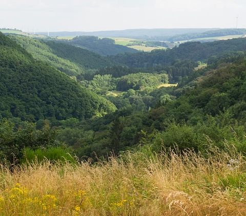 Panoramablick über das grüne Alsbachtal mit Hügeln und Wäldern.