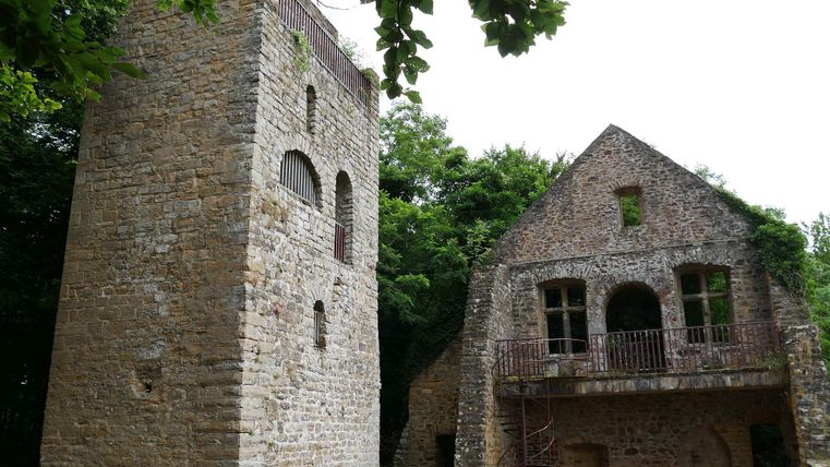 Eine alte Ruine mit einem steinernen Turm und einem ehemaligen Gebäude. Das Gelände ist von Bäumen umgeben.