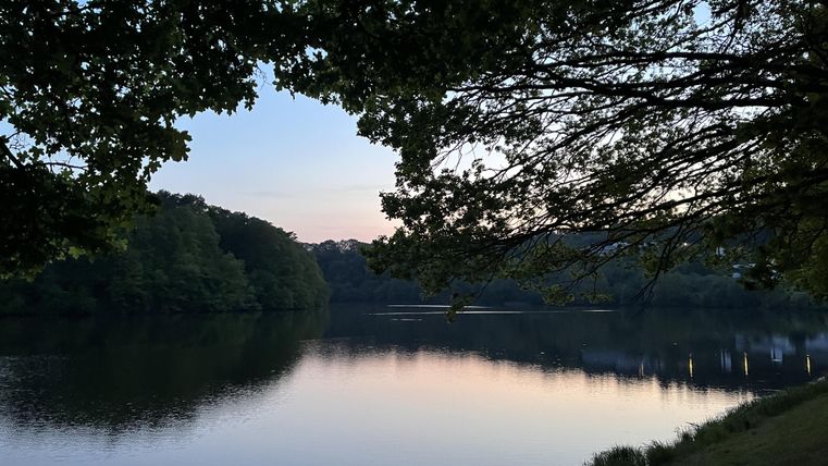 Ein ruhiger See, umgeben von Bäumen, spiegelt den Abendhimmel wider. Das sanfte Licht schafft eine friedliche Atmosphäre.