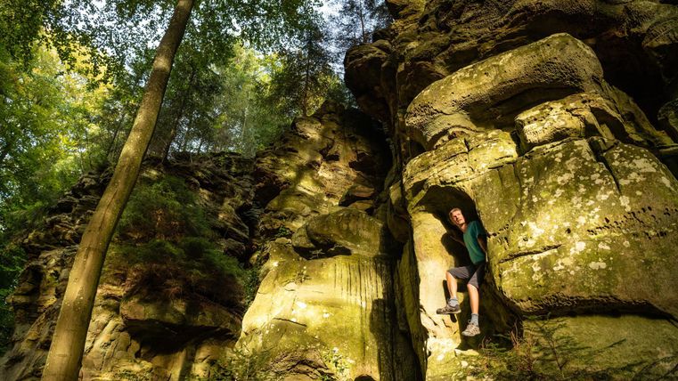 Eine Person klettert an einer großen Felswand in einem bewaldeten Gebiet. Das Licht durchdringt die Bäume und schafft eine schöne Atmosphäre.