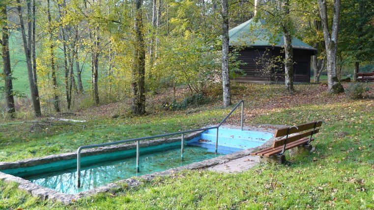 Une cabane à barbecue et un bassin de pédalage dans la forêt.