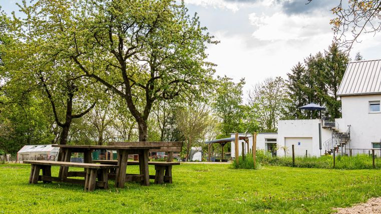 Ein grüner Garten mit einem Holztisch und Bänken unter einem Baum. Im Hintergrund steht ein helles Gebäude umgeben von Bäumen.