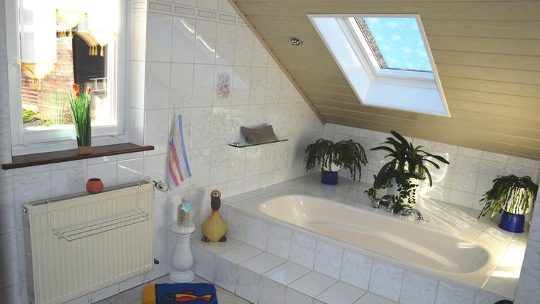 A cozy bathroom with a skylight and a bathtub. Green plants and decorative elements give the room a fresh atmosphere.