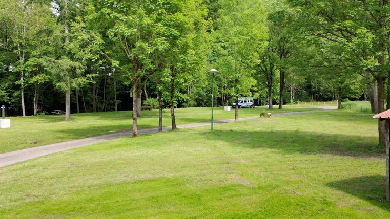 Eine grüne Parklandschaft mit vielen Bäumen und einem gepflasterten Weg. Im Hintergrund steht ein Fahrzeug zwischen den Bäumen.