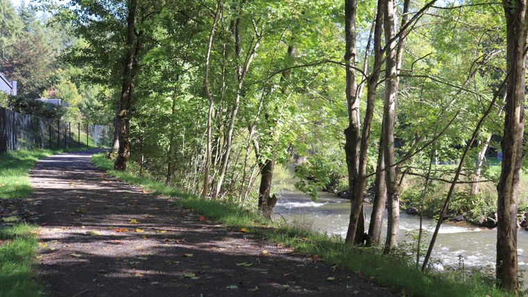 Ein ruhiger Weg entlang eines Baches, umgeben von grünen Bäumen. Die Sonne scheint und das Wasser fließt sanft.