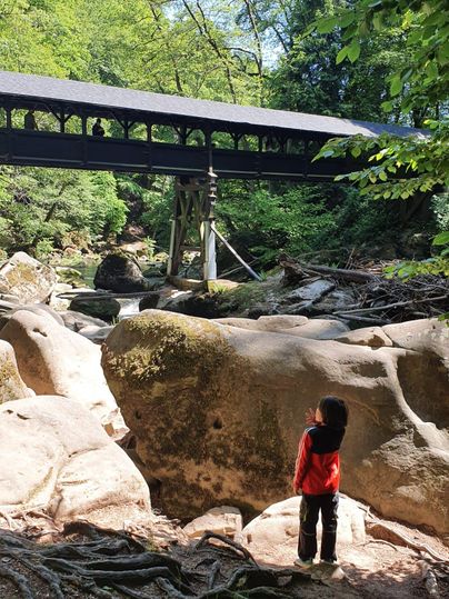 Een kind staat op grote stenen en kijkt naar een houten brug in een bosrijke omgeving. De plek lijkt rustig en natuurschoon.