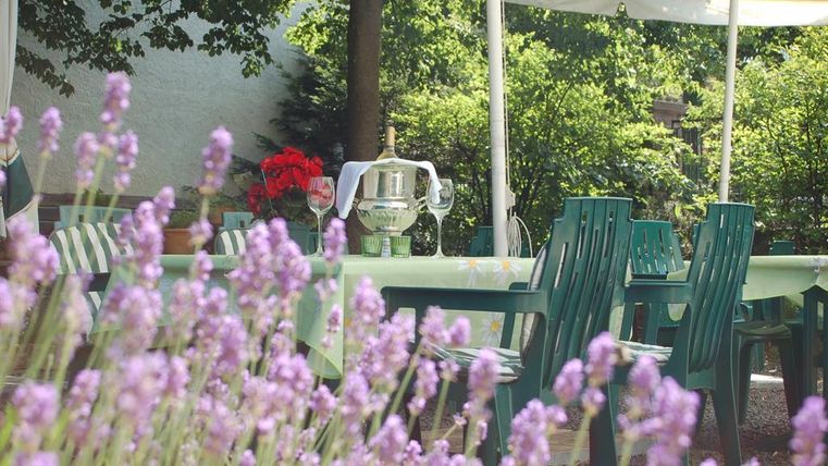 Un beau jardin avec des fleurs de lavande violettes et des tables vertes. En arrière-plan, on voit des plantes et un parasol.