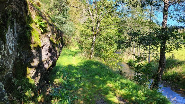 Un chemin pittoresque le long d'une rivière, entouré de verdure luxuriante et d'arbres. Des rochers sur le côté gauche donnent une note naturelle à la scène.