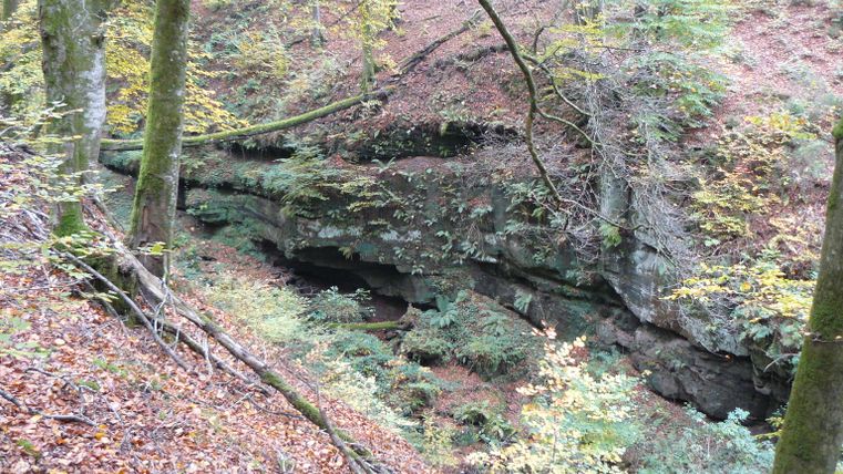 Boslandschap met rode zandsteenrotsen en herfstbladeren.