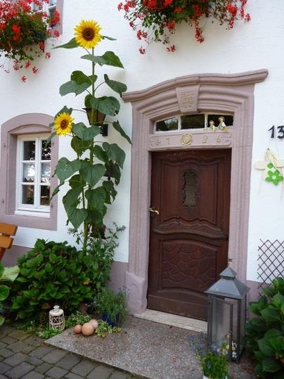 Een charmante toegangspoort met een mooie houten trap. Naast de deur staat een hoge zonnebloem en bloeiende planten.