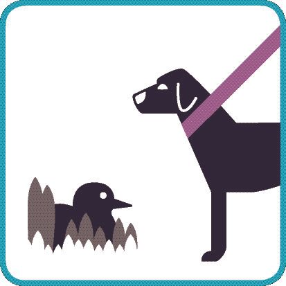 Hunde anleinen wegen Brut