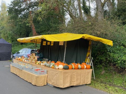 Ein Marktstand mit vielen verschiedenen Kürbissen unter einem gelben Markisen-Dach. Im Hintergrund sind Bäume und ein Auto zu sehen.