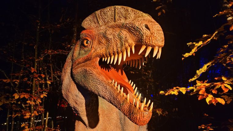 Ein lebensechter Dinosaurierkopf steht zwischen Bäumen im Dunkeln. Die Umgebung ist von herbstlichen Blättern umgeben.
