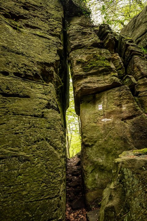 A narrow passage between tall rocks in the forest. The stones are greenish and covered in moss.
