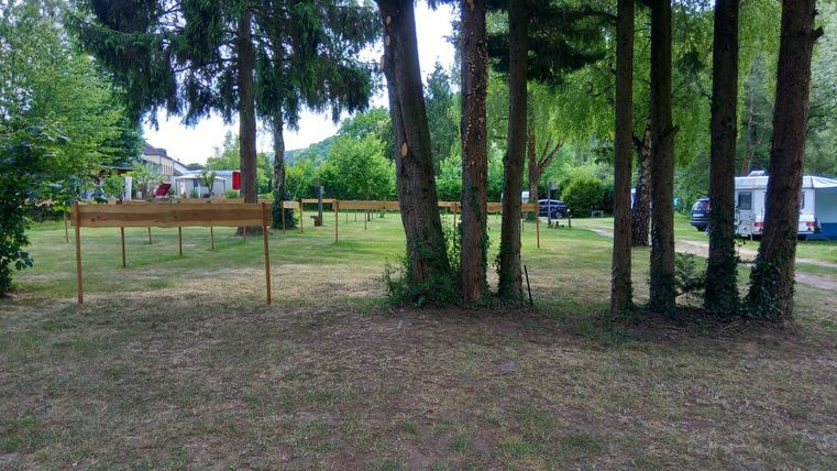 Een groene camping met bomen en weides. Op de achtergrond zijn tent- en camperplaatsen zichtbaar.